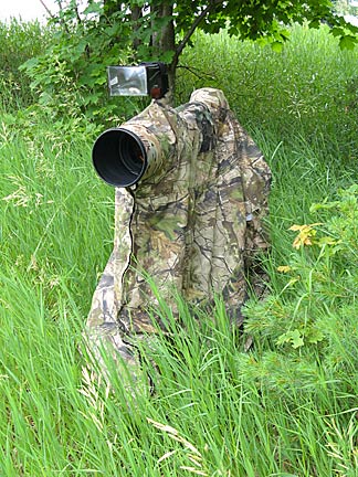 Kwik Camo - Summer - Realtree APG HD