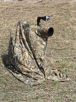 Kiwk Camao - Summer - Advantage Max4 HD